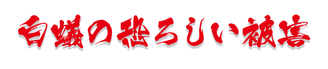 白蟻の恐ろしい被害